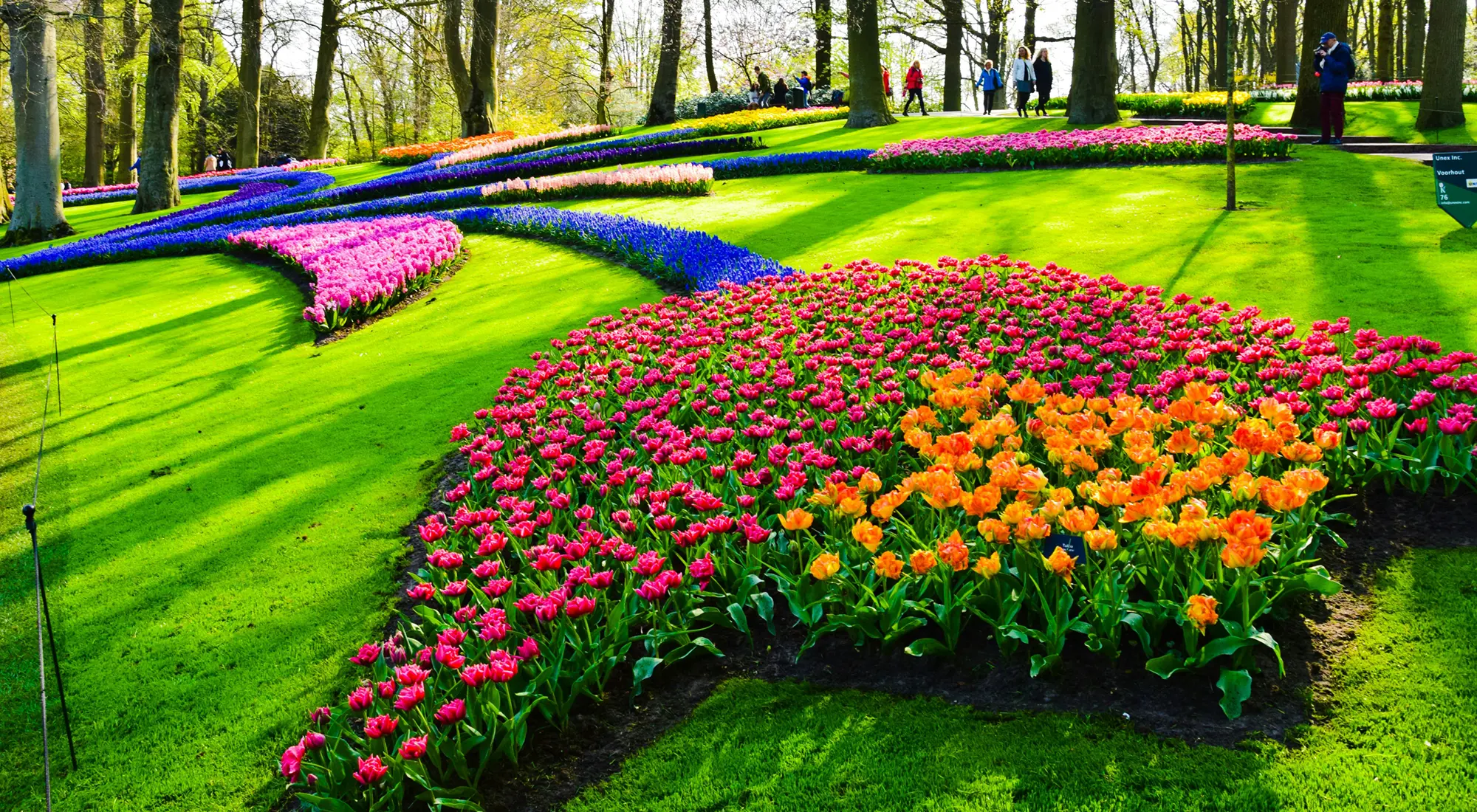 キューケンホフ国立公園