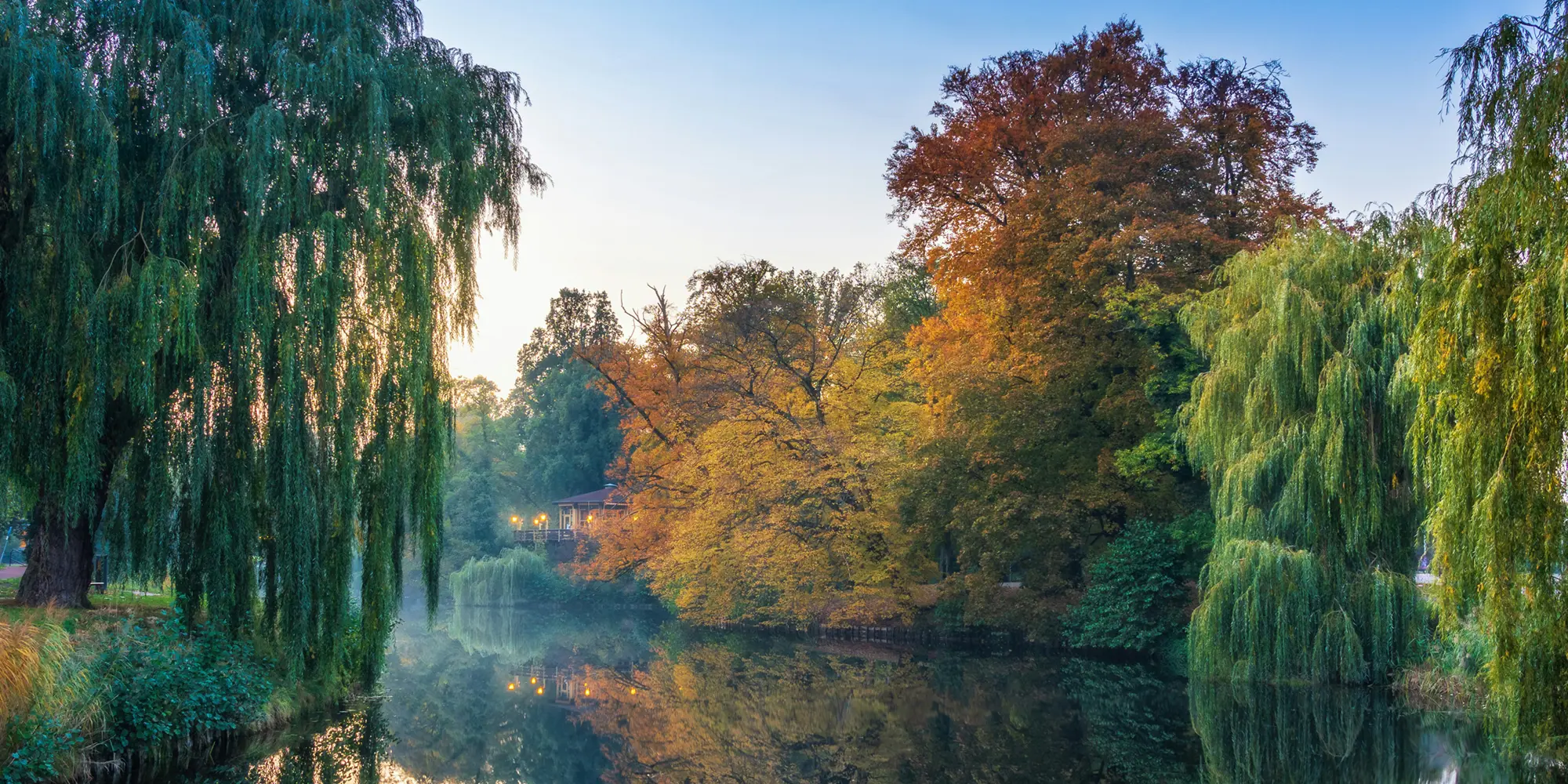 オランダを知る私たちだから、撮れる映像がある。