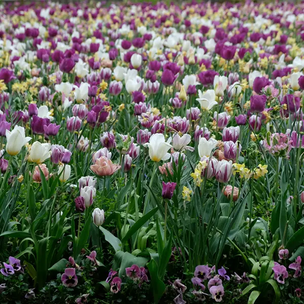 緻密なリサーチとファクトチェック